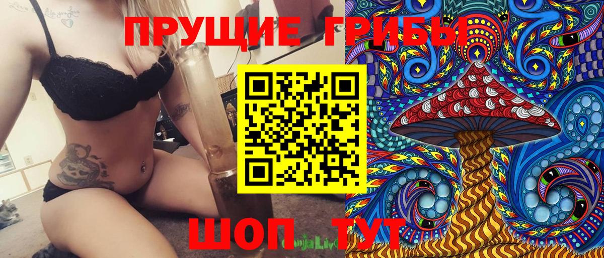 Электросталь  Псилоцибиновые грибы прущие грибы  Вход с VPN  Псилоцибиновые грибы Psilocybe 